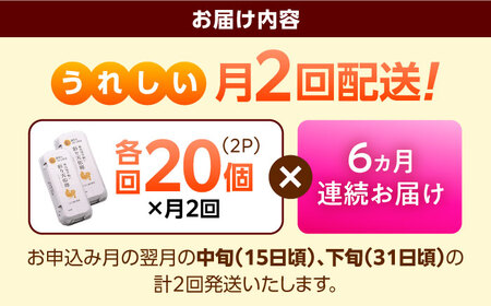 《月2回 × 20個 6ヶ月コース》 彩り天佑卵 全12回定期便 [AIDL022]