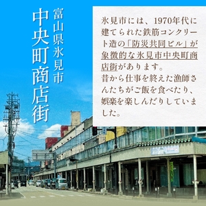 氷見市中央町商店街看板キーホルダーガチャ ［ 全41種コンプリートセット ］ キーホルダー ストラップ ガチャガチャ トレーディング 看板 富山県 氷見市 レトロ