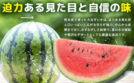 【先行予約】大玉すいか 2玉約10kg 日本フルーツ株式会社《4月下旬-7月下旬頃出荷》熊本県 菊池市 すいか スイカ 大玉 熊本県産