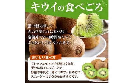 【先行予約】&nbsp;先行予約！和歌山県産&nbsp;秀品&nbsp;キウイフルーツ&nbsp;大玉15個入&nbsp;こだわり農家厳選&nbsp; 【2026年12月中旬～2027年1月中旬頃に順次発送予定】/ キウイ キウイフルーツ 果物 フルーツ おやつ【kgr021】