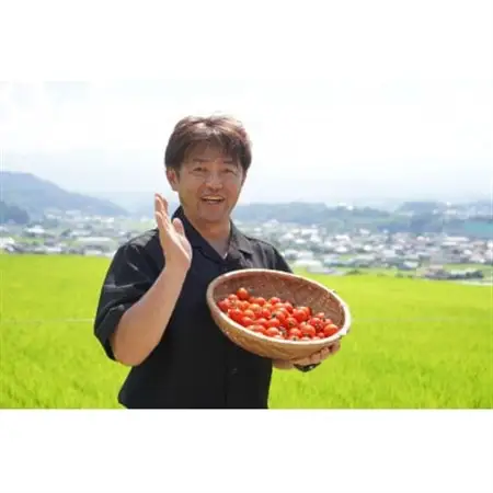 高原育ちのフルーツミニトマト サマー千果 約2kg【配送不可地域：離島】【1645910】
