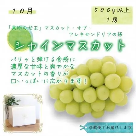【発送月固定定期便】岡山　花笑み農園のピオーネ＆シャインお試し便(各1房・500g以上)全2回【配送不可地域：離島】【4082286】