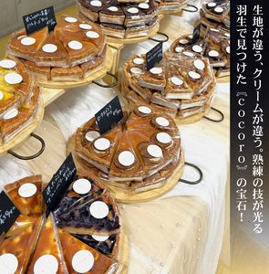 タルト 訳あり タルト 訳あり おまかせ 15ピース