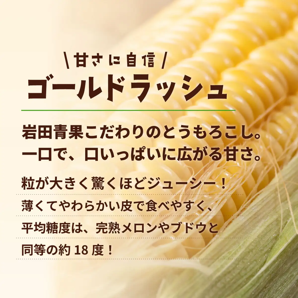 とうもろこし ゴールドラッシュ 3.5kg 茨城県産 トウモロコシ 深夜採り 当日便