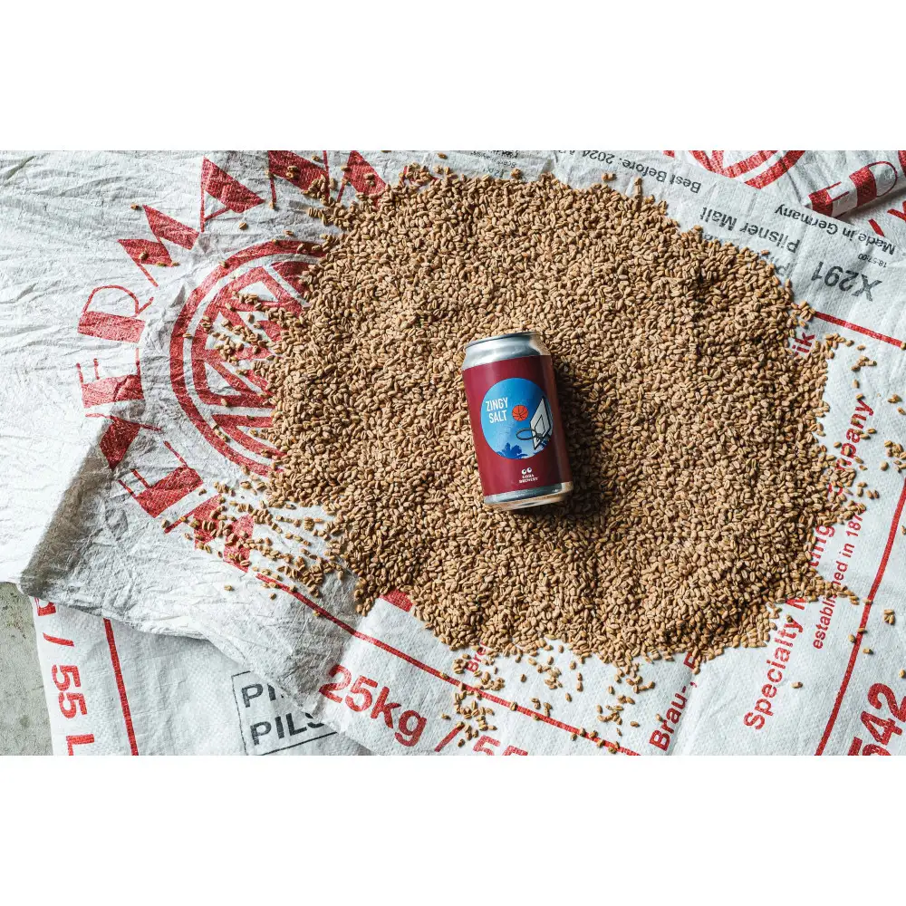 International Beer Cup金賞受賞 『GORA BREWERY』 人気銘柄3種缶6本セット