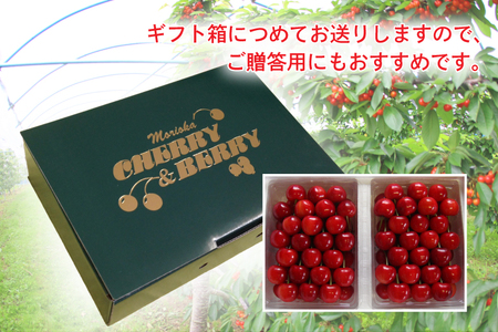さくらんぼ 食べくらべセット 700g【先行予約】EM001 さくらんぼ