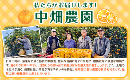 不知火 訳あり 5kg 中畑農園 しらぬい 柑橘