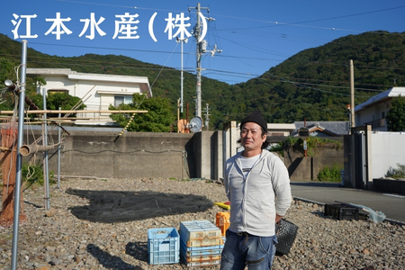 漁師たつ兄のうつぼチップス３袋