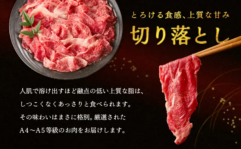 三浦牛サーロイン ・ 三浦牛切り落とし 詰め合わせセット M082-004 肉 牛肉 冷凍