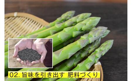 【朝採り直送】春芽アスパラガス 1kg (L-Mサイズ) 福岡県産 2027年