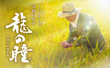 【2025年産米】【定期便】2kg×3回 飛騨産・龍の瞳（いのちの壱）【14-72】
