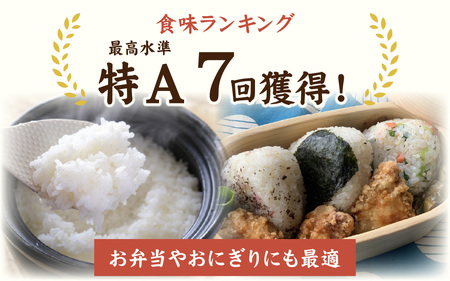 【先行予約】【令和8年産 新米】【農家直送】減農薬・化学肥料不使用  いちほまれ 5kg×1袋 【2026年10月より順次発送】 | 特別栽培米 