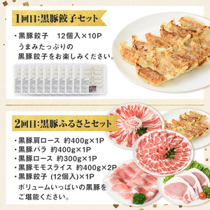 【D02006】＜定期便・全5回＞かごしま黒豚まんぞく定期便A (月1回×5ヶ月) 鹿児島 九州産 国産 肉 豚肉 黒豚 焼豚 肩ロース ロース モモ スライス 叉焼 餃子 ギョーザ ぎょうざ しゃぶしゃぶ とんかつ 加工品 セット 【和田養豚】