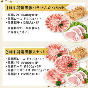 【D02007】＜定期便・全5回＞かごしま黒豚まんぞく定期便B (月1回×5ヶ月) 鹿児島 九州産 国産 肉 豚肉 黒豚 焼豚 肩ロース ロース モモ スライス 叉焼 餃子 ギョーザ ぎょうざ しゃぶしゃぶ とんかつ 加工品 セット 【和田養豚】
