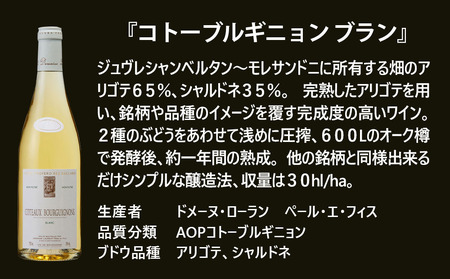 FD568 福智山ダム熟成 五つ星生産者ブルゴーニュ白4選-01 ワイン 白ワイン ブルゴーニュ 熟成ワイン