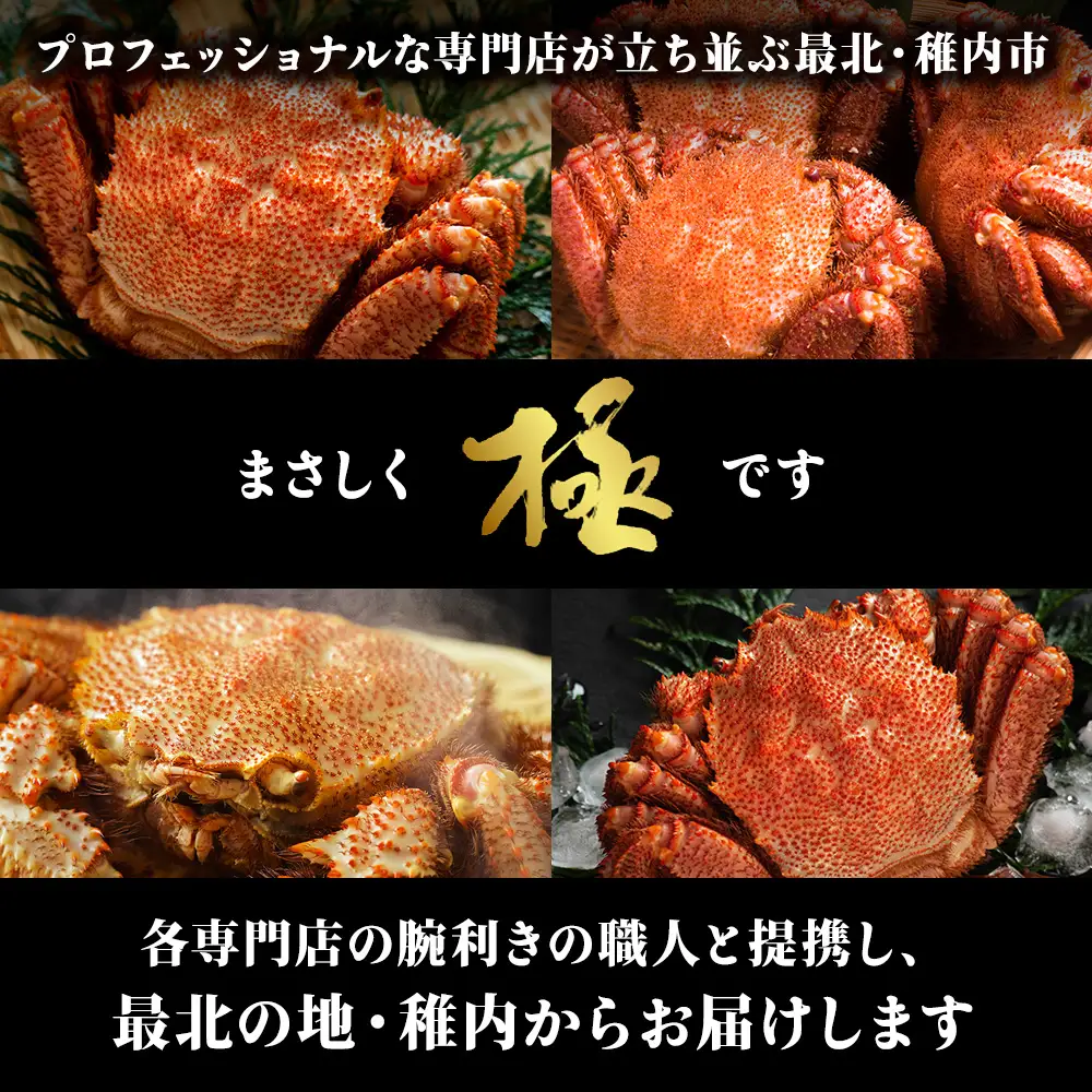【稚内産・極】 浜ゆで毛ガニ(堅蟹) 800g～900ｇ×1尾KU139sku