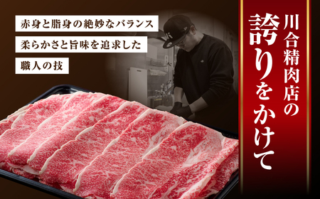 【定期6回】肉 牛肉 黒毛和牛 切り落とし 700g (350g×2) 福島県 田村市