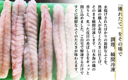 ふぐのたたき 1パック(約200g) フグ 海鮮【石川県漁業協同組合小松支所】