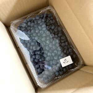 横山農園の生ブルーベリー1kg【CH-002】
