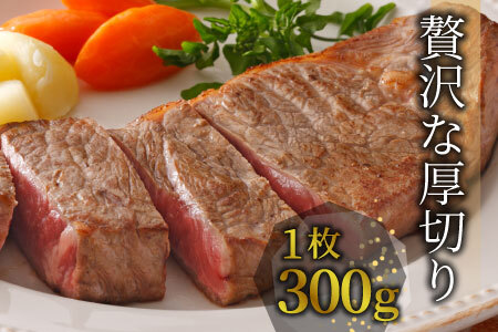 最高5等級 飛騨牛 厚切りロースステーキ 1.2kg 300g×4枚 牛肉 和牛 肉 ロース ステーキ 東白川村 岐阜 贅沢 霜降り A5 5等級 厚切り 養老ミート