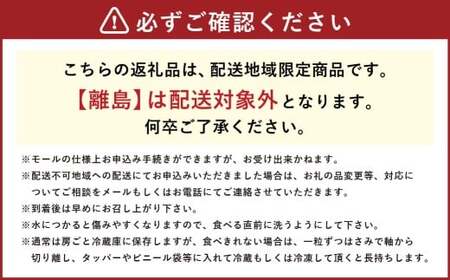 【 3回定期便 】 大粒ぶどうの詰合せ 約2kg×3回 計約6kg シャインマスカット マスカット ブドウ ぶどう 葡萄 果物 くだもの ピオーネ クイーンニーナ 定期便 詰合せ 大粒 【 2026年10月上旬～12月上旬迄発送予定 】