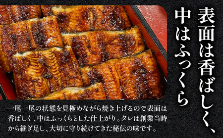 うなぎ 蒲焼 うなぎ[国産 2尾 一力 老舗 280g]