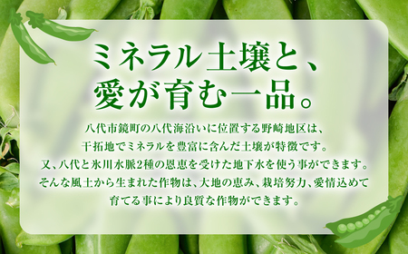 産地直送 スナップエンドウ 700g えんどう 豆 シャキシャキ食感 甘い 旬 野菜 やさい 新鮮 熊本県 八代市