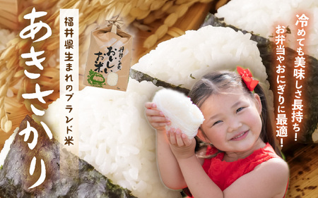 先行予約 令和8年産 新米 (玄米) 定期便 12ヶ月連続お届け あきさかり 5kg × 12回 計60kg ブランド米 米 2026年10月上旬以降順次発送 [K-8911_02]