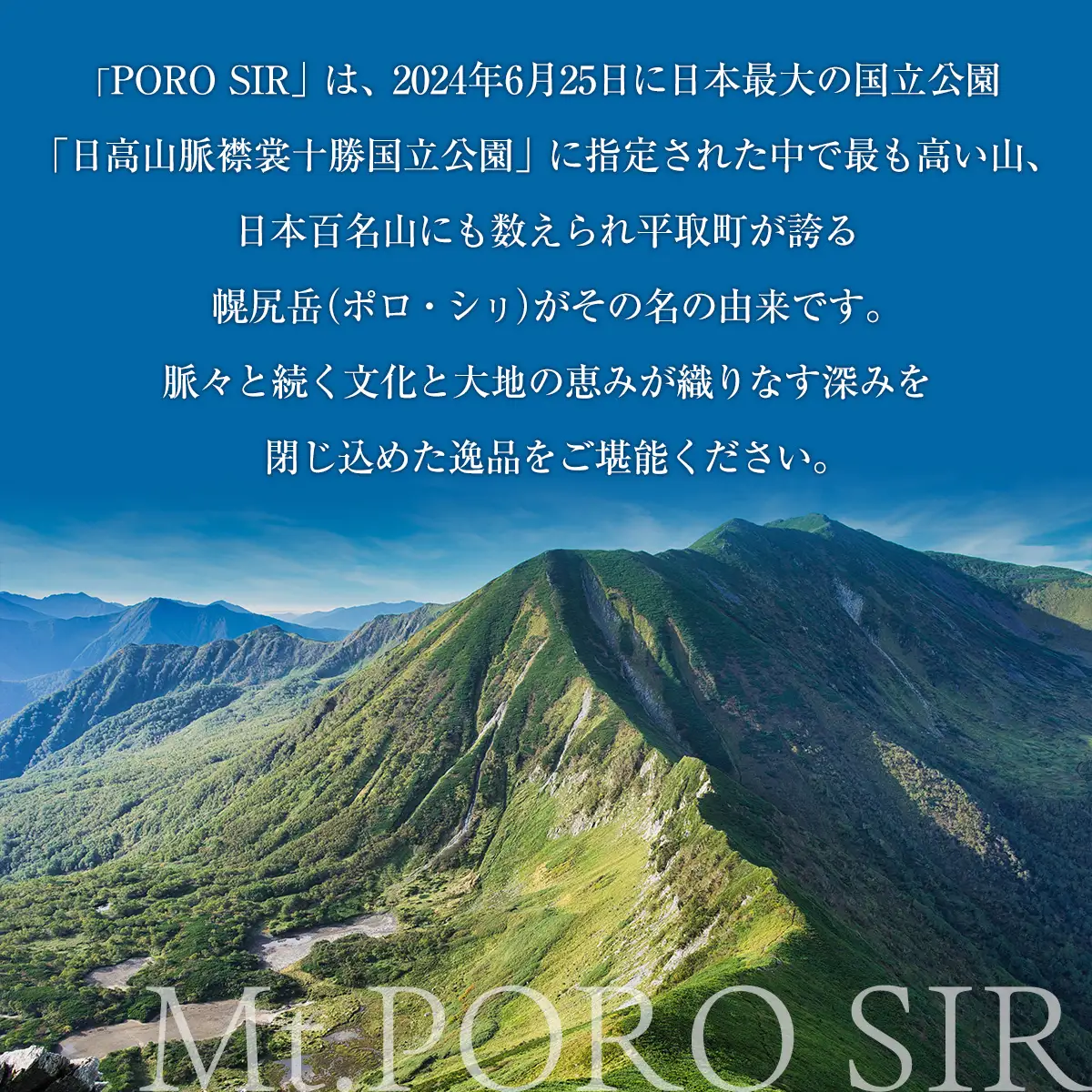 クラフトジンPOROSIR 500ml BRTQ013