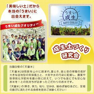 和梨 ( 南水 ) 約 2.5kg フルーツ 果物 山形 08-05-010