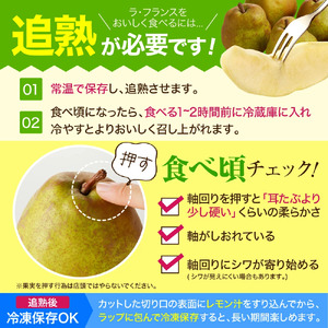 ラ・フランス & コミス 詰合せ 約 5kg フルーツ 果物 山形 08-05-020