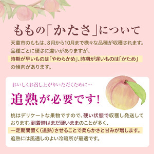 もも ( 8月 おすすめ の 桃 ) 大玉 約 3kg フルーツ 果物 山形 08-06-002