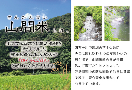 【 ギフト にも オススメ ギフト包装 入り】四万十市産 米 ヒノヒカリ 2kg × 2袋 計 4kg 四万十川の支流で育った 山間米 高知県 高知 四万十 しまんと お米 白米 精米 ひのひかり 【1～2合炊飯する方におススメ！】26-0028