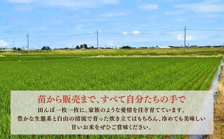【先行予約】令和8年産  定期便 石川県産コシヒカリ 精米 計20㎏(5㎏×4袋)×3回便 お米 白米 こしひかり｜石川県 小松市 【坂下農産】