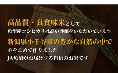 魚沼産コシヒカリ 令和7年 定期便 「おぢや米」 60kg（15キロ×4回）| 特A 新潟県 小千谷市 魚沼地域
