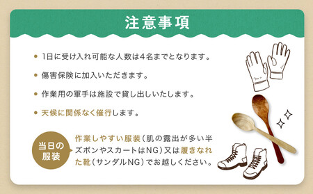 グリーンウッドワーク体験（3名様）【レギュラーコース】 | 木 木工体験 手道具作製 五感 自然 飛騨高山 高山エース旅行センターLQ019