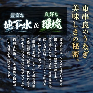 【0204348a-2607】＜土用の丑の日までにお届け＞東串良町のうなぎ蒲焼(無頭)(4尾・計約600g・タレ、山椒付) うなぎ 高級 ウナギ 鰻 国産 蒲焼 蒲焼き たれ 鹿児島 ふるさと 人気 丑の日 【アクアおおすみ】