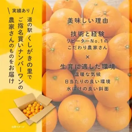 温州みかん先行予約!和歌山県産ミカン約5kg(40個～60個入)秀品　味に自信あり!こだわり農家厳選【1707202】