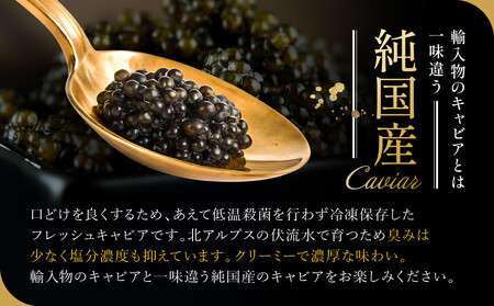 奥飛騨キャビア15g｜奥飛騨 贈答用 魚卵 日本産 グルメ 高山市 焼岳すっぽん HE001