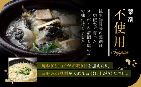 湯けむり美人すっぽんスープ　2人前｜和風惣菜 食品 人気 コラーゲン 栄養 伝統 日本料理 煮込み 温まる 冬季 スープ料理 だし 焼岳すっぽん HE004