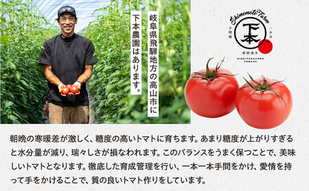 完熟飛騨トマトジュース12本入り｜飛騨高山 新鮮 野菜ジュース こだわり 完熟 とまと 高山市 下本農園 PR002