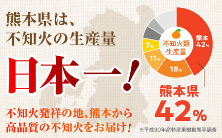 【順次発送中】【訳あり】 柑橘の王様 ハウス栽培 不知火 デコポン 約3kg（7～12玉） 【小春農園】[ZBN008]