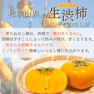 甘さが違う！とっても甘くなる生渋柿（平たねなし柿）吊るし柿用 T字枝or吊るしクリップ付 約2.5～3kg 約9～18個 １０月下旬～順次発送【art040】