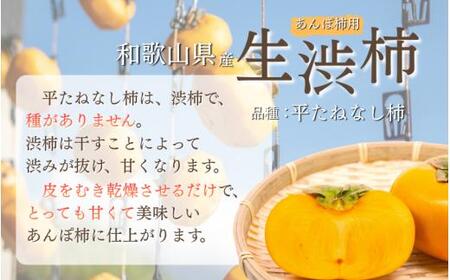 【県認定エコファーマー】柿 干し柿 甘さが違う！とっても甘くなる生渋柿（平たねなし柿）あんぽ柿用 T軸枝無 約2.5〜3kg 約9〜18個 １０月下旬〜順次発送(日付指定不可)-AP【art041A】