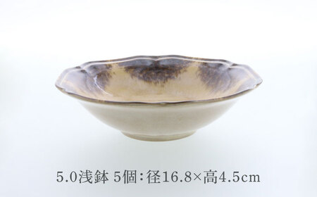 【美濃焼】ポルト ティーク型 5.0浅鉢 5点セット【カネ定製陶】[MEI240]