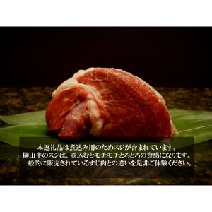 【訳アリ】 超希少黒毛和牛「榊山牛」煮込み用ブロック肉 500g  ビーフシチュー・ビーフカレー・赤ワイン煮等  美食  訳ありグルメ