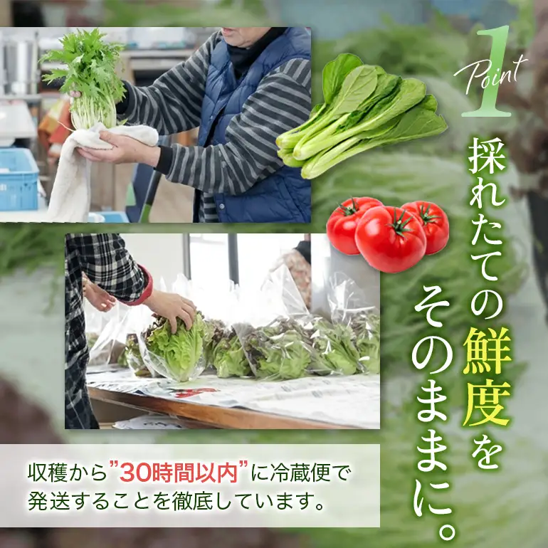 安芸高田市の小さな農家がお届けするふるさと旬野菜セット 野菜類 詰合せ やさい 