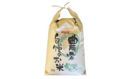 令和7年産 「 くまさんの輝き 」10kg 精米 コメ 米 お米 熊本県産 ごはん 白米 国産 九州 熊本県 あさぎり町 【2026年5月下旬迄発送予定】
