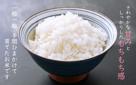 【中日賞受賞】農薬不使用 特別栽培米コシヒカリ5kg【精米】 福井県認証区分1取得「田んぼの天使」 [e10-b008]