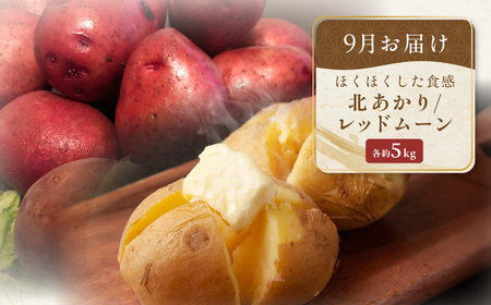 【定期便】旬の農産物定期便 年3回お届け ABAO2211 | 野菜 定期便
